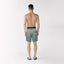 THEON SWIMSHORT MEN ICEBERG GREEN